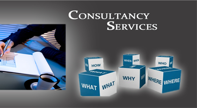 rajconsultancy-services
